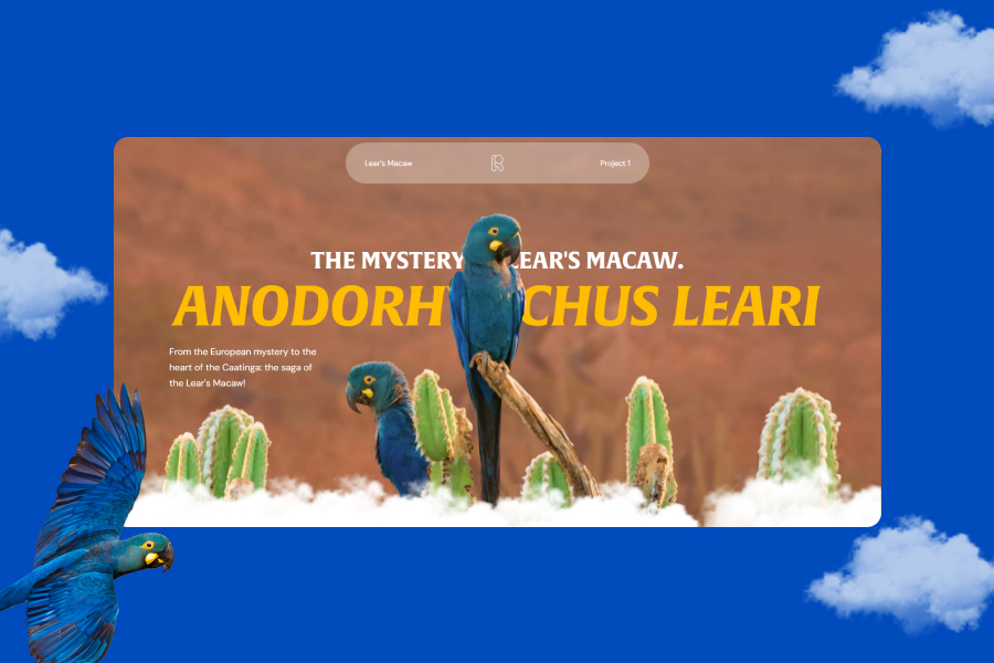 The Mystery of Lear's Macaw