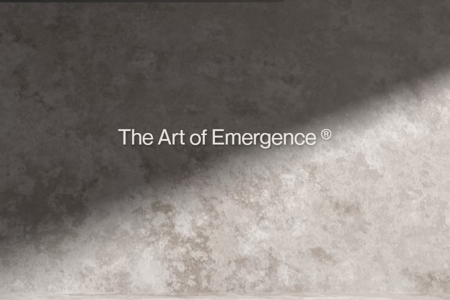 The Art of Emergence